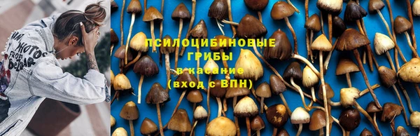 не бодяженный Себеж